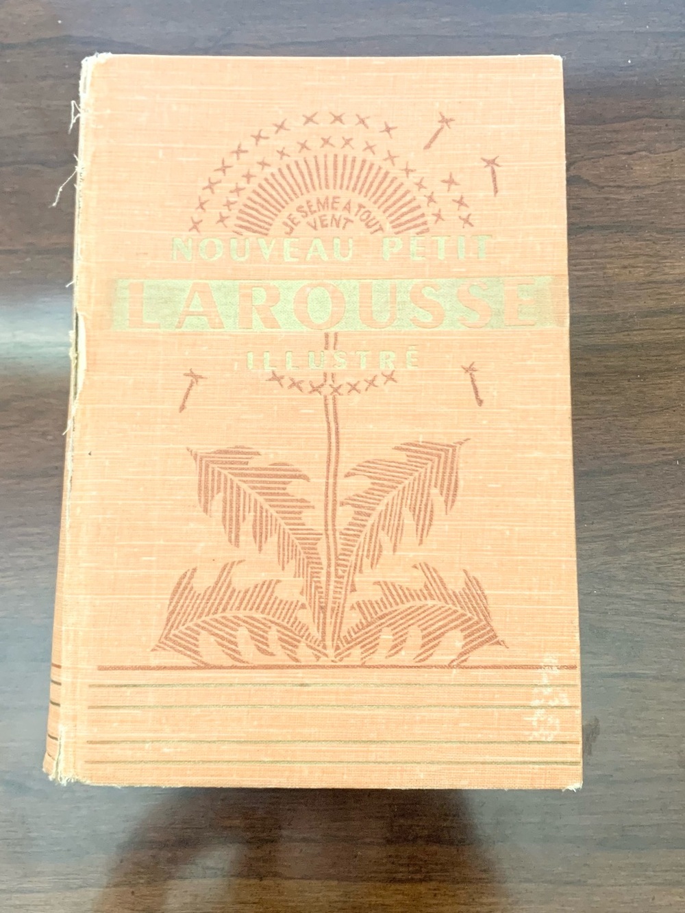 Vintage French Dictionary 1924